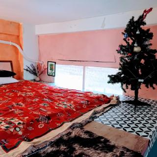 134 Lily's Colorful Private House in city center - 4