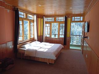 Venky's Place - Jibhi - 3
