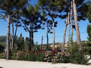 HPC Suites - Cassis Centre - Parking Gratuit & Piscine Chauffée - Cassis - 7