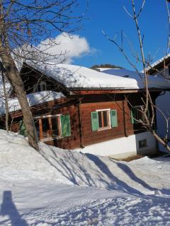 Chalet-Daheim-Fiesch 3,5-Zimmerwohnung - Fiesch - 3