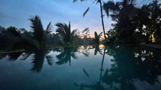 Hatiku Di Bali - Ubud - 1