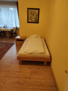 Hotel Schwan - 4