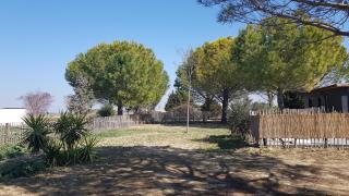 Domaine de L'Outarde Canepetiére Gîte A - Aigues-Mortes - 7