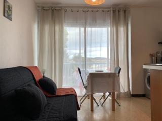Appartement cosy proche thermes à Balaruc-les-Bains, animaux admis - FR-1-503-92 - Balaruc-les-Bains - 5