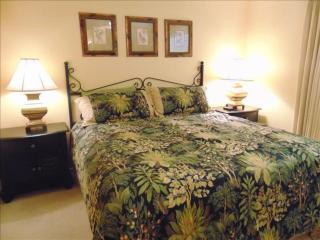 N5 great for families 4 twins 1 king, screened room large living room 2 and 1 half baths bedromms up - Mallory Park - 9