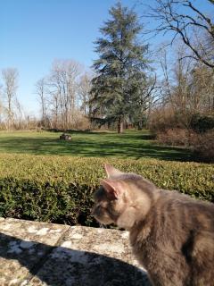 Domaine de Préfond - Bengy-sur-Craon - 2