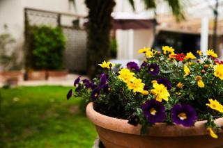 HOTEL VULCI - Montalto di Castro - 6