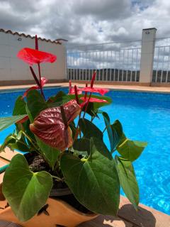 Pousada da Seresta - 5