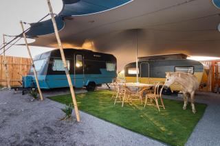 TREKOS GLAMPING - Jacobs Bay - 7