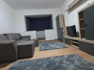 Cozy Apartment- zona centrala - Bacău - 4