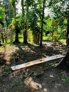 Whispering Wisdom - Cahuita - 1