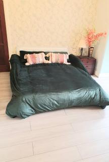 Beautiful Double En-suite Room, separate entrance, Ilford, Central line Gants Hill, free parking - Ilford - 8