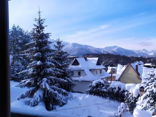 Apartament nr 5 U Miśka z jedną sypialnią - Zakopane - 2