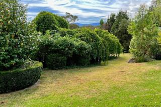 Beautiful 1960s home in historic Yackandandah - Yackandandah - 5