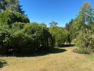 Beautiful 1960s home in historic Yackandandah - Yackandandah - 4