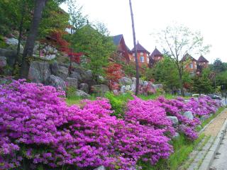 Elf Resort Hotel - Pyeongchang - 3