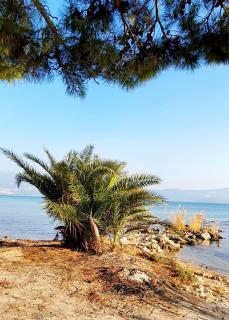 Stilvolle Villa mit Strandlage - 9