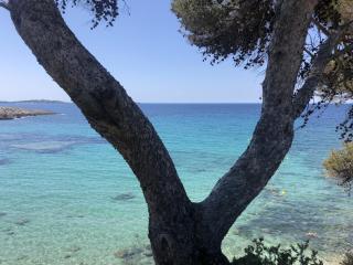 Les Baux 3 - Sanary-sur-Mer - 1