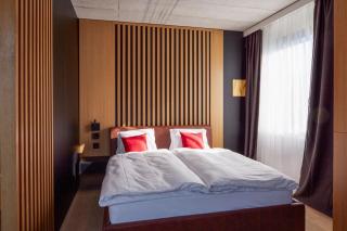 Tailormade Hotel RIGIBLICK Küssnacht - Küssnacht - 5