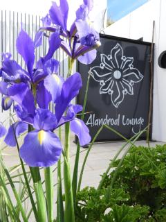 Alandroal Guest House, Hotel - Alandroal - 5