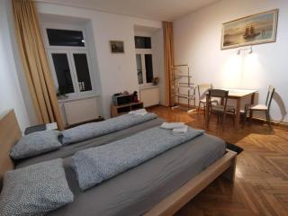 CENTER of the Veinna - room - 9