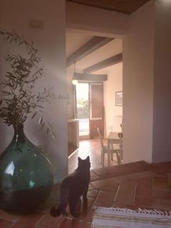 Fantastic Apartment in the Heart of Toscana - Castiglion Fiorentino - 0