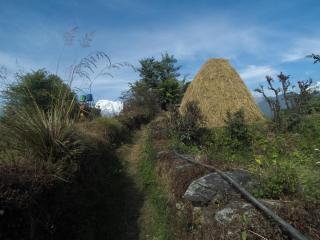 Hemjakot Community Homestay - Pokhara - 7