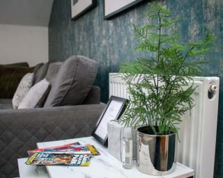 Luxe Living Guest House-Sleeps 6-Private Parking-Free WIFI-Beach-City - 5