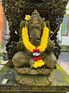 Ubud Dream - Ubud - 3