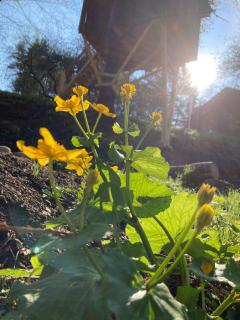 Shambhala centrum - 3