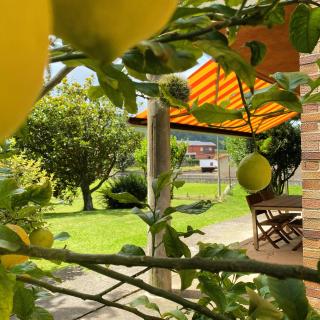 Apartamentos la Roblera - 3