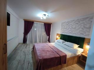 Casa de vacanta Estera Rucar - Rucăr - 2