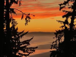 Great Cabin In Close To Walking Trails And Beaches - 13T - 4