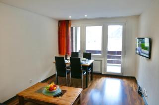 2.5 Zimmerwohnung für Sportler & Familien WHG 132 & WHG 612 - Täsch - 1
