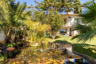 Villa Echium T1 - Caniço - 8