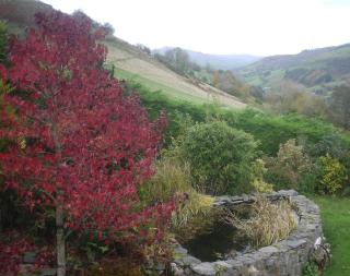 Tranquil 3-Bed Cottage Near Lake Vyrnwy - Hirnant - 1