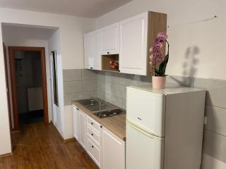 Apartments Holiday Gavric - 8