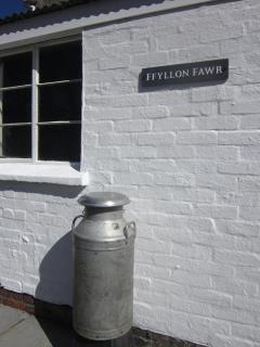 Ffyllon Fawr - 7