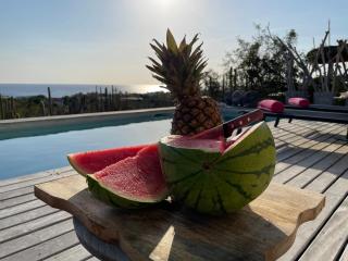 Caribbean Oceanview Villa - Kralendijk - 6