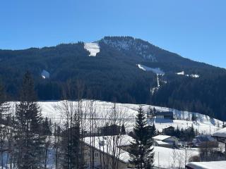 Dachstein Chalet - Russbach am Pass Gschütt - 5