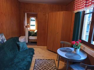 Willa Konradówka - apartamenty Dębowy, Klonowy, Kosówka i Limba - Zakopane - 1