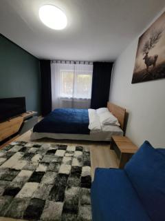 Casa Rusu -Moroasa-Self check in-24h Netflix - Reşiţa - 0