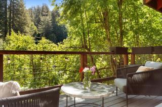 Sydneys River Retreat - Guerneville - 4