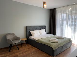 Minimalist 3 Studio Brasov - Brasov - 6