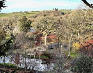 The Maples - Narberth - 5