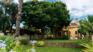 Villa Medina - Cefalù - 7