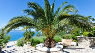 Apartments by the sea Brela, Makarska - 20708 - 1