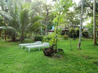 Calm Villa - Weligama - 2