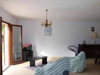 Maison Calme avec Jardin, Proche Lac et Centre, Animaux Bienvenus, Ménage Inclus - FR-1-319-408 - Sanguinet - 7