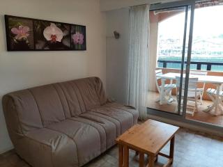 Appartement à Capbreton avec piscine et tennis - FR-1-239-883 - 6